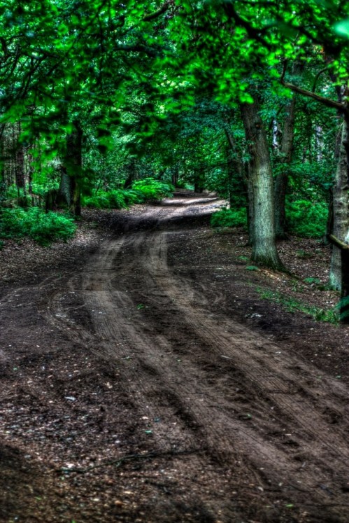 Img_8949_50_51_tonemapped