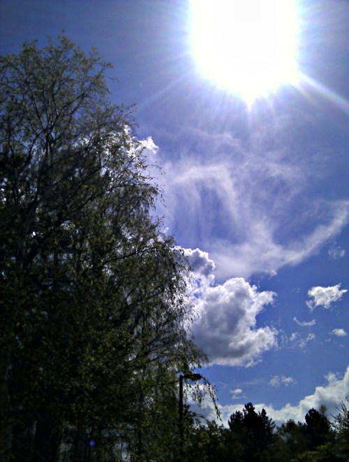 2012-04-30_13-27-39_hdr