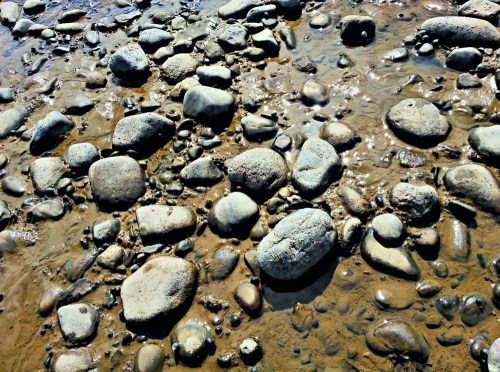 2012-08-09_14-23-19_hdr